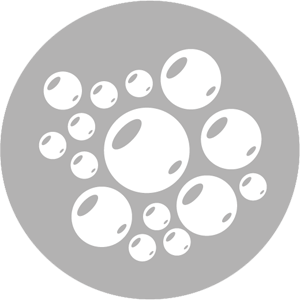 Ozonator (optional)